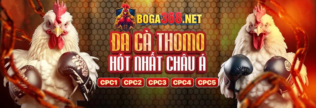 Hoàn trả hàng ngày jj88